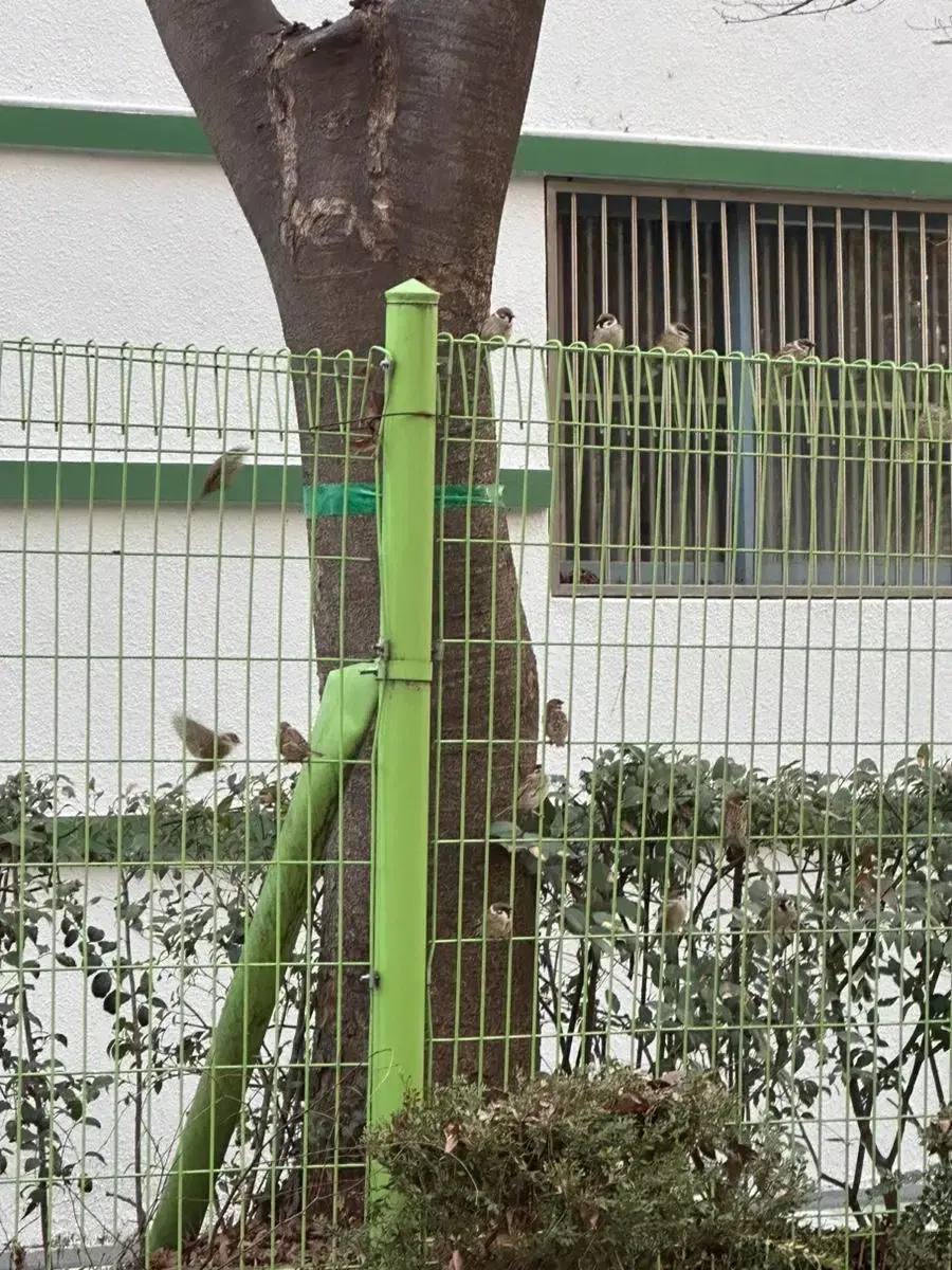 2개짜리 배송비포함